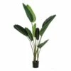 Planta Decorativa Verde PVC 150 Cm Ave Del Paraíso -OUTSUNNY TIENDA 006294f7114d10618e94f7c81910446316660679 78ef0db534c44d1aa4804720061b8292