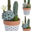 Surtido Planta Artificial CACTUS MACETA -OUTSUNNY TIENDA 0552b59364bee6caf969d3a375a359db4cbb4f47 395642