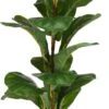 Planta Artificial Con Macetero -OUTSUNNY TIENDA 0a2cdae3cd869b4675835c4b27c345da4bd1248f 766838