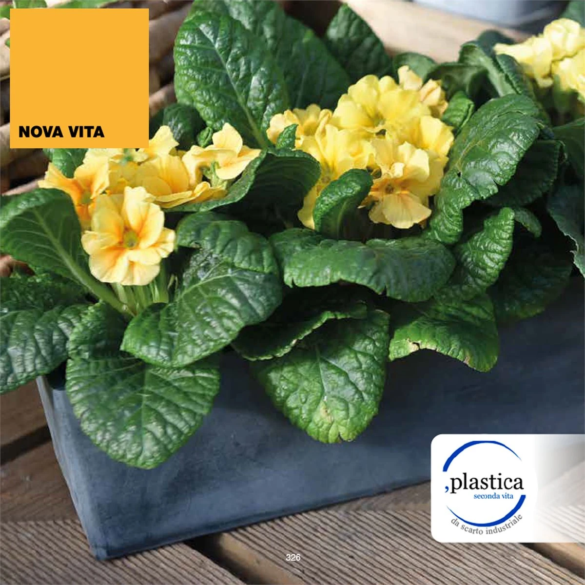 Jardinera 30 Cm 4 Jardinera 30 Cm - Imagen 2