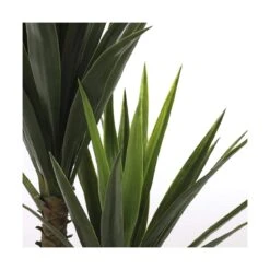 Planta Decorativa Mica Decorations Yucca (120 X 60 Cm) -OUTSUNNY TIENDA 1061da742110b4f688e12c1ab8194596906a0a10 aabc321407ec428d82fb8f74dcf1c5df
