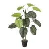 Planta Artificial CALADIUM De La Marca MICA DECORATIONS 2 Planta Artificial CALADIUM De La Marca MICA DECORATIONS -OUTSUNNY TIENDA 13478dbad963b17e1dc8aac2507659a3952e5dd7 111802