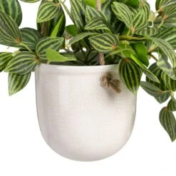 Planta Decorativa 33 X 33 X 24 Cm Blanco Verde PVC -OUTSUNNY TIENDA 15c3034c9f4049c2c9ded2fd101436b93917042b d922fbd608ba4c65a3ca5e591472ff21