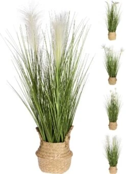 PLANTA CON FLOR Y CESTA DE MIMBRE SURTIDO