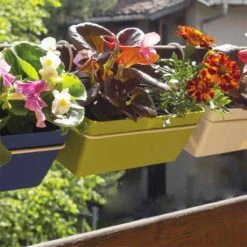 3 Jardineras L 22 Cm Con Ganchos, De Polipropileno 9 3 Jardineras L 22 Cm Con Ganchos, De Polipropileno -OUTSUNNY TIENDA 22a7cb160eb06b11fc06ccf2c37cb6727e2fbc9f 7cd55a17dd64428c88767f87dc5b7faf