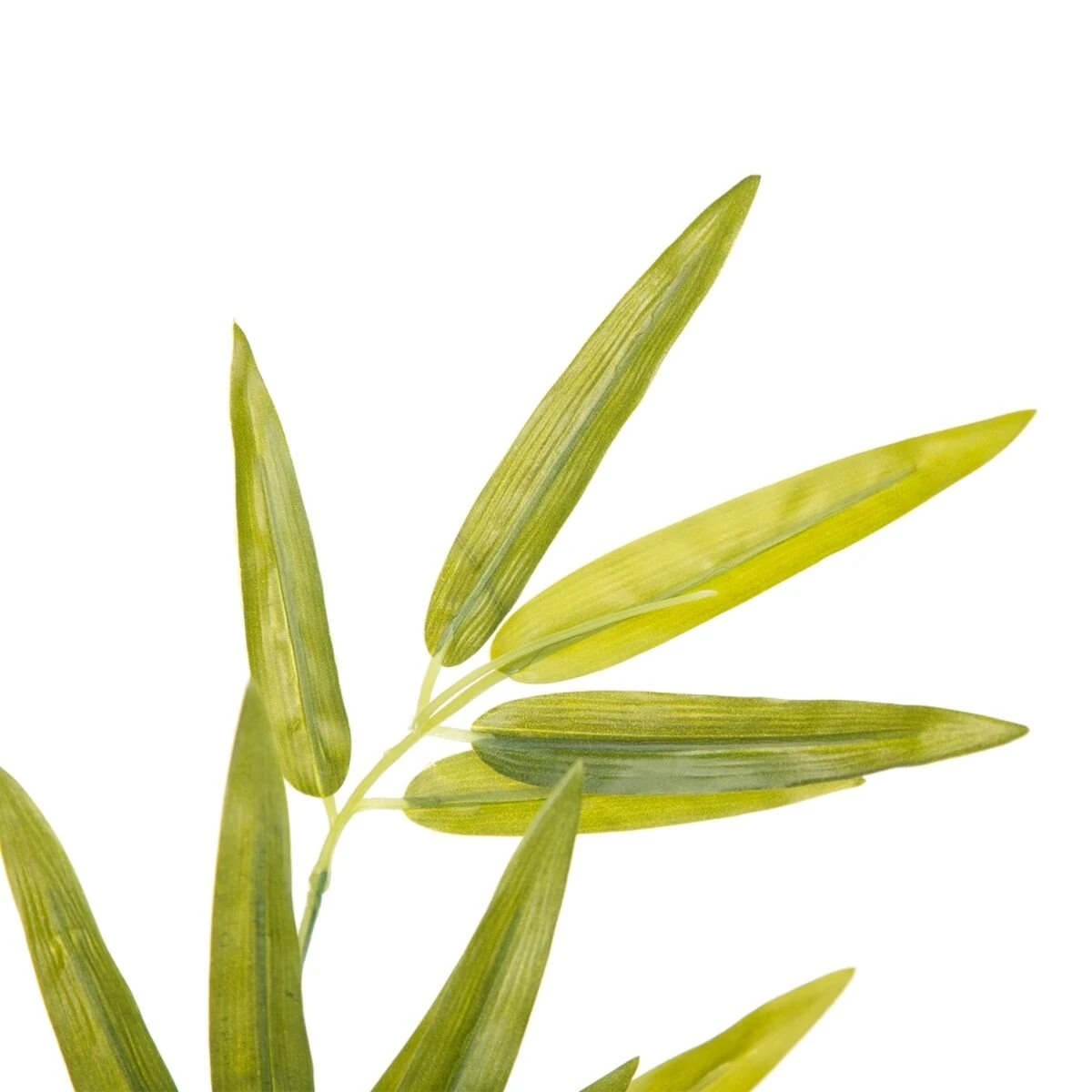 Rama 40 X 30 X 157 Cm Verde 7 Rama 40 X 30 X 157 Cm Verde - Imagen 5