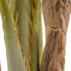 Planta Decorativa Areca Verde 189 Cm -OUTSUNNY TIENDA 299149f35b43e3ede259d8d33a52948d9afb8d9b 00d92df7f8a34955861d4571d4c0fd92