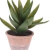 ALOE VERA ARTIFICIAL EN MACETA TERRACOTA -OUTSUNNY TIENDA 3287cfc283de8d5c02e8468663fd65009bd95878 403641