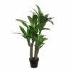 Planta Artificial DRACAENA De La Marca MICA DECORATIONS 2 Planta Artificial DRACAENA De La Marca MICA DECORATIONS -OUTSUNNY TIENDA 328d9aa3493eb274c45b3a59e39384791da1e1aa 111798