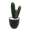 Surtido Planta Artificial CACTUS COLORADO -OUTSUNNY TIENDA 3423af4156ca412207f89703b6f5b97f1f547c62 396993 1