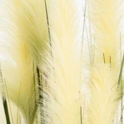 Planta Decorativa 45 X 37 X 100 Cm Verde Crema PVC -OUTSUNNY TIENDA 34eda8ae63b2a4119f5126deb85fff373de4ed34 28287401f7f749858e2e0d5cdb2f1256