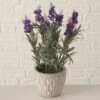 PLANTA EN MACETA LAVENDEL -OUTSUNNY TIENDA 3543264f2449e423692d360457f1d5aaf583f967 100557 2