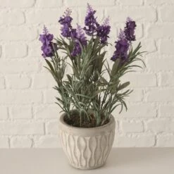 PLANTA EN MACETA LAVENDEL