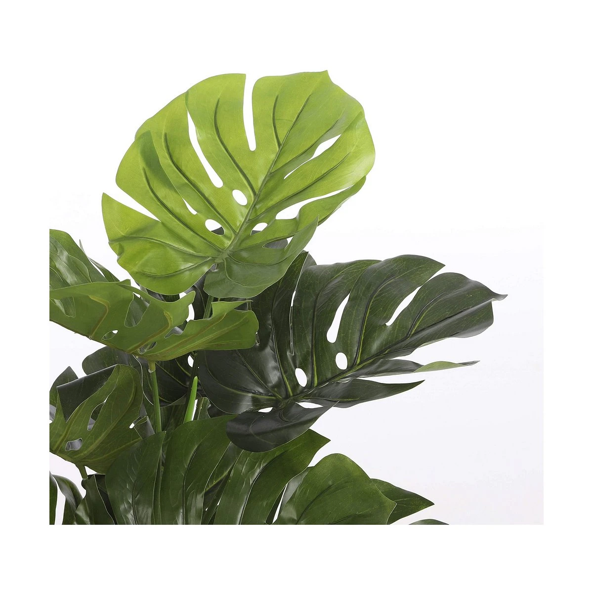 Planta Decorativa Mica Decorations (75 X 100 Cm) 7 Planta Decorativa Mica Decorations (75 X 100 Cm) - Imagen 5