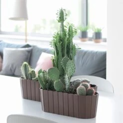 Prosperplast Jardinera Para Balcón BOARDEE BASIC 7,9L., Dimensiones (mm) 587x144x130, Color Gris Piedra -OUTSUNNY TIENDA 3d30c8298805b11e9a8cffd5e1b25e717d657876 3aee714da4ea4c4f80096d1ea215f0c0