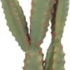 CACTUS FICUS ARTIFICIAL EN MACETA TERRACOTA -OUTSUNNY TIENDA 4061b53965b303f1b7019dcc3afa72ee9b515db2 403675