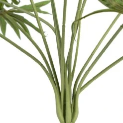 Rama 60 X 60 X 64 Cm Verde PVC -OUTSUNNY TIENDA 420eca1bfe41e4456307c72e6b8cd970f6701658 c289f3a4138c432aba72352d47f8f360