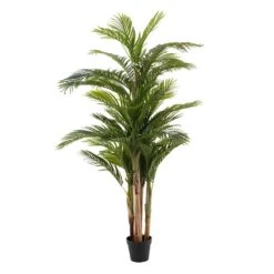 Planta Decorativa Areca Verde 189 Cm