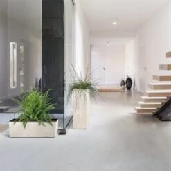 Prosperplast Maceta Urbi Case Beton Effect , Dimensiones (Mm) 395X185X195, Color Crema -OUTSUNNY TIENDA 52aef1f9c167cdae49a4ececd05b655e262e4967 ba651234ae0c442ab25370ba0461ca55