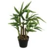 PLANTA BAMBU -OUTSUNNY TIENDA 54af97e67f82b91f2453e27ef47f0db31f50b2ca 106750