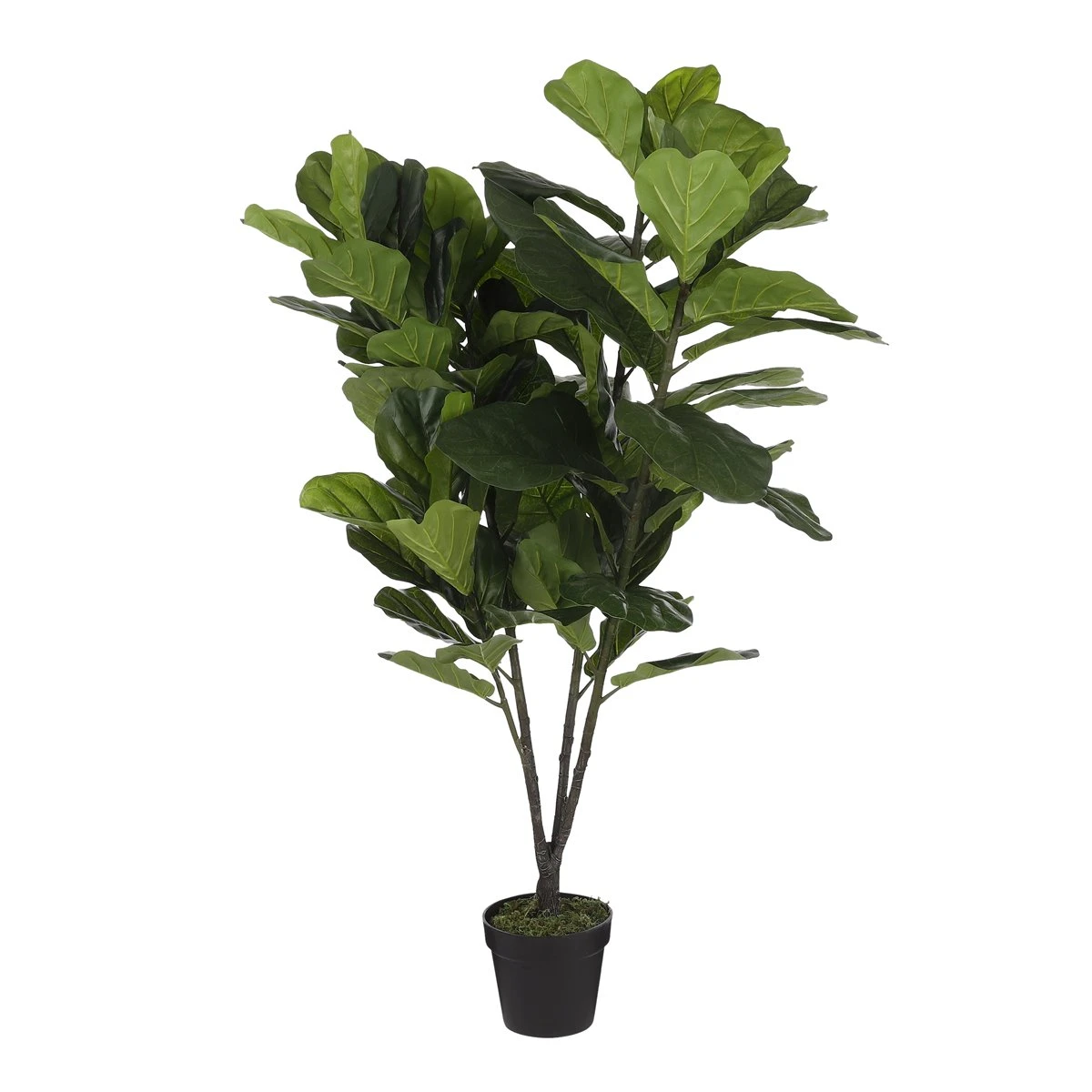 Planta Artificial LYRATA Marca MYCA 3 Planta Artificial LYRATA Marca MYCA