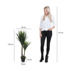 Planta Decorativa Mica Decorations Yucca (120 X 60 Cm) -OUTSUNNY TIENDA 57d97455f07df871cb7478a313f6909d42d75b8f 3a30eb0e14d6411aadcbca22b3c00f6d