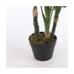 Planta Decorativa Mica Decorations (75 X 100 Cm) 10 Planta Decorativa Mica Decorations (75 X 100 Cm) -OUTSUNNY TIENDA 6b05c24266d698344baa5f048e45ce54fa16a276 2de524cc714b47ea931e337813aa00e9