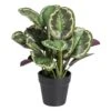 Planta Decorativa 37 X 37 X 41 Cm Verde PVC -OUTSUNNY TIENDA 6d93e8027e7b96ff4c388d55e89d39fb439b5e3c 784398c741c845788d128899abcf37e2