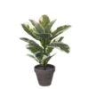Planta Artificial STAN Marca MYCA -OUTSUNNY TIENDA 6e8154d779eb45fac38f5ea98e4bab88ba31a636 111035 2