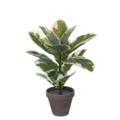 Planta Artificial STAN Marca MYCA