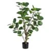 Planta Decorativa 80 X 77 X 113 Cm Verde PVC Aralia -OUTSUNNY TIENDA 6f5f5b48bc4316a642588f64e903e5ca078aaa5b 7c5609109071498b920ffee7c4f834db