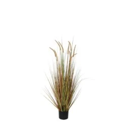 Planta Artificial DOGTAIL Marca MYCA