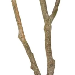 Planta Decorativa 116 Cm Verde PVC Roble 12 Planta Decorativa 116 Cm Verde PVC Roble -OUTSUNNY TIENDA 70a11d799c5a77809cfd5a80ccd78a5366ae6cb7 64a19f67441c465f910758617740f553