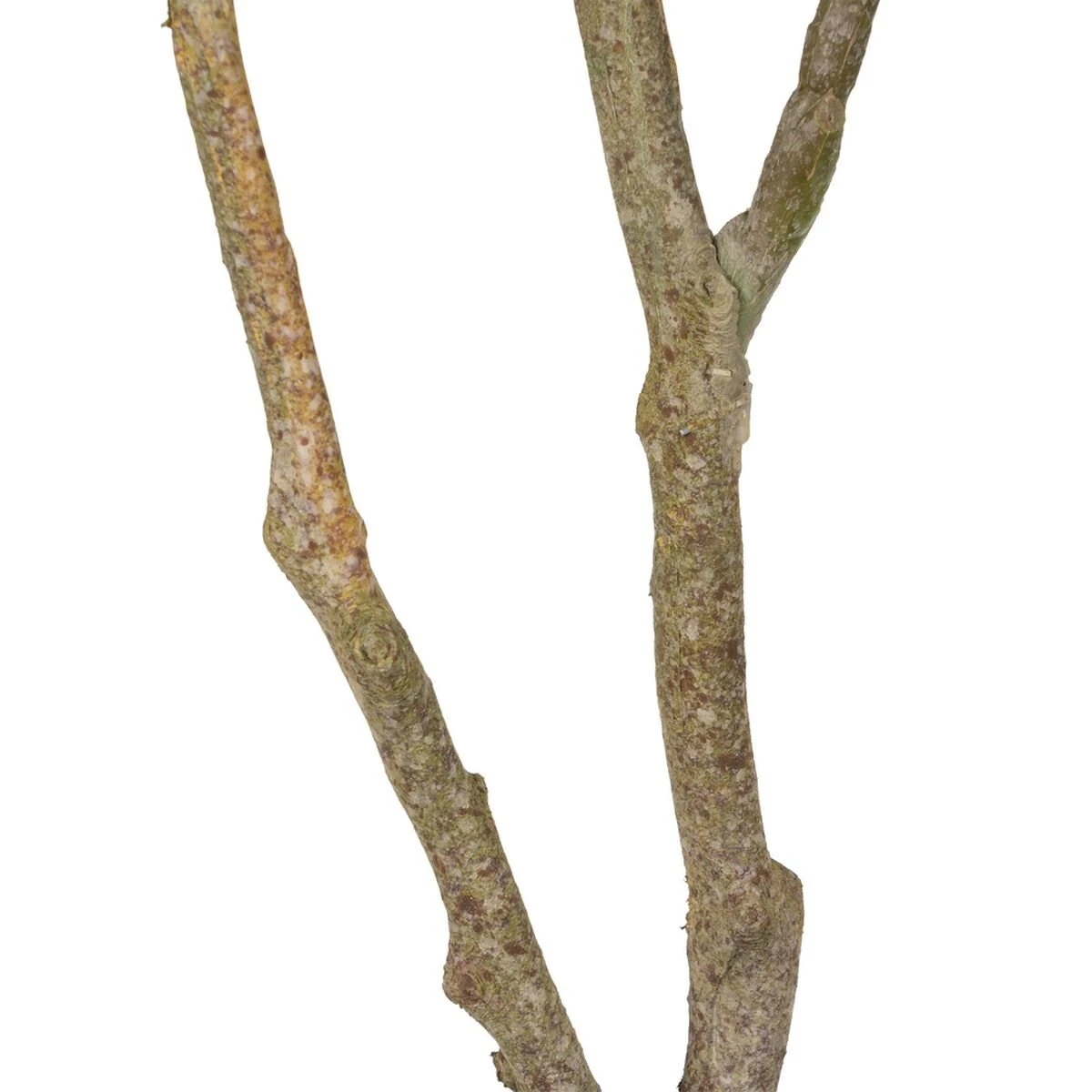 Planta Decorativa 116 Cm Verde PVC Roble 7 Planta Decorativa 116 Cm Verde PVC Roble - Imagen 5