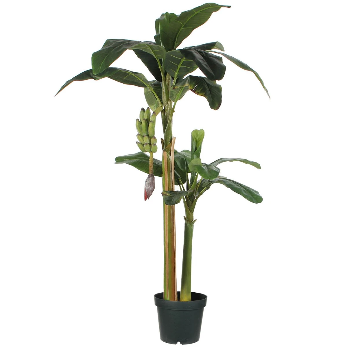 Planta Artificial PLATANERA Marca MYCA 3 Planta Artificial PLATANERA Marca MYCA