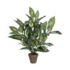 Planta Decorativa Mica Decorations Dieffenbachia Dieffenbachia Verde PVC (15,7 X 70 Cm) -OUTSUNNY TIENDA 7c957987eb1e1c1e9be775cc8efe30ca4e5d308f e4017ba5799247a8965970d6904dc16a