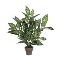 Planta Decorativa Mica Decorations Dieffenbachia Dieffenbachia Verde PVC (15,7 X 70 Cm)