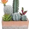 Cactus Con Maceta Terracotta -OUTSUNNY TIENDA 7d380721edfff873e05c1d3ea37196740a18bc7e 395643