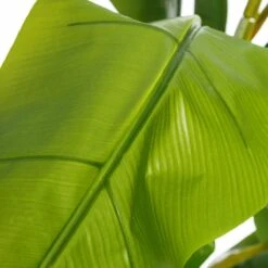 Planta Decorativa 103 X 95 X 200 Cm Verde PVC Bananera -OUTSUNNY TIENDA 7e12693f8bf344c1cbfad72b3a87d14acfde353e cf29f4f02ff444db8755af55f7783813