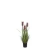 Planta Artificial PLUME Marca MYCA 80cm 2 Planta Artificial PLUME Marca MYCA 80cm -OUTSUNNY TIENDA 7f9374b8cbe1220fcc3a2990e34882f49f3a6cbf 111002 2