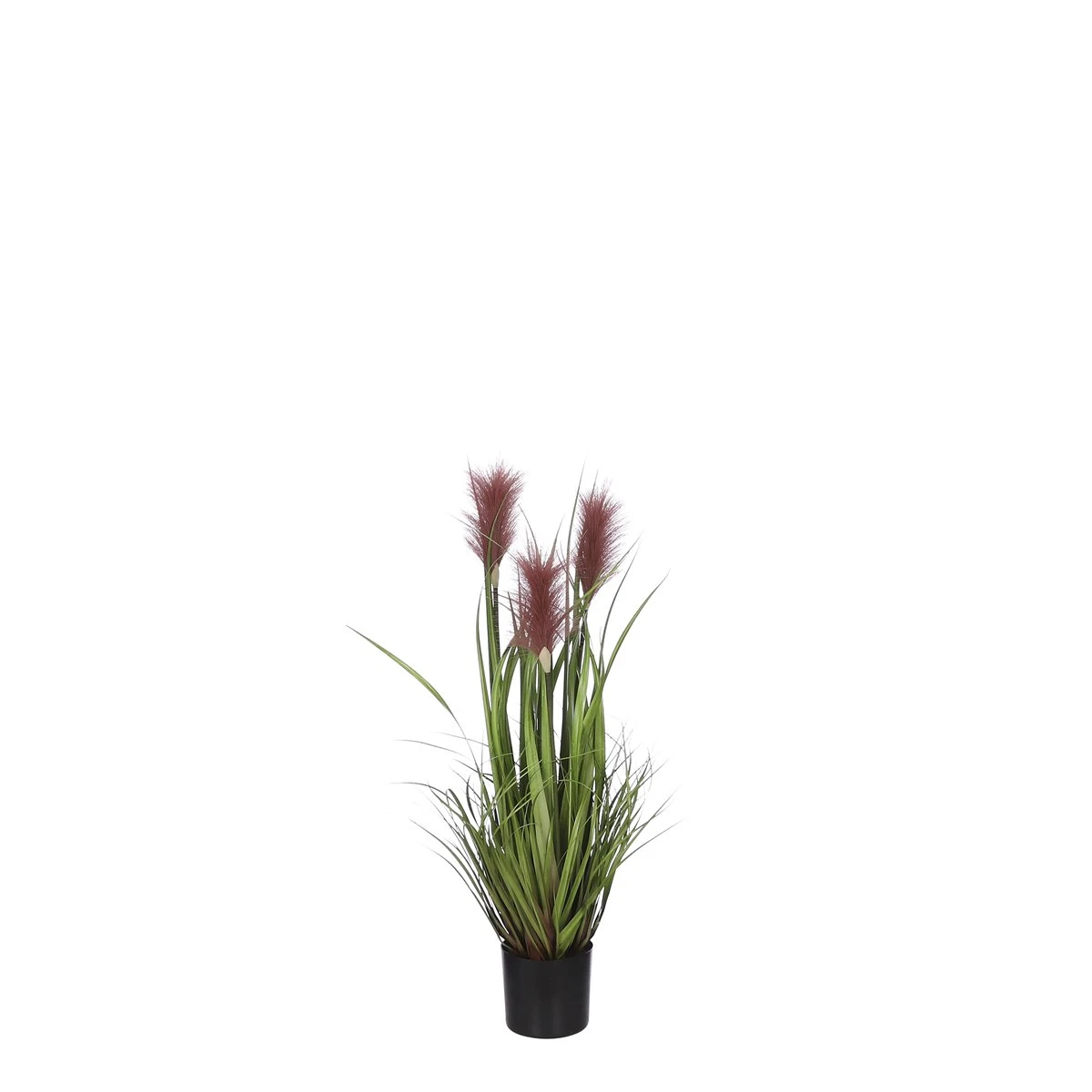 Planta Artificial PLUME Marca MYCA 80cm 3 Planta Artificial PLUME Marca MYCA 80cm