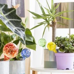 Globos De Riego Automático Ballwooters InnovaGoods 4 Unidades -OUTSUNNY TIENDA 843182008ffc8c0e50c150d4691f2753ff3883a7 83ac5dc102e44e6589c7d966ed2755f5