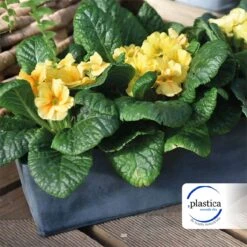 Jardinera 30 Cm 9 Jardinera 30 Cm -OUTSUNNY TIENDA 84d8f336b56426a00c255620812cf7cd22333e34 28600d931b2c484caa72e377cc0113f3