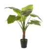 Planta Artificial TARO Marca MYCA -OUTSUNNY TIENDA 85595b18b9d072faa2296a69ffc7f1b18ece92a3 111033 2