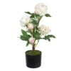 Planta Decorativa 34 X 30 X 59 Cm Crema Peonía -OUTSUNNY TIENDA 87968465b4a4bd0001ac7ee3e8ee8c1c469a0aac c7615e7982354a2092cd49307b757580