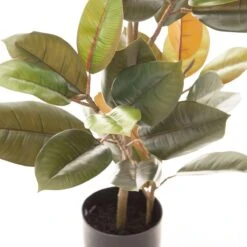 Planta Decorativa 36 X 37 X 90 Cm PVC Ficus Verde Oscuro -OUTSUNNY TIENDA 92396bb742a49f3a18574af601dbb5a8634bbd15 1d5a36562c164572a152429e00e6a812