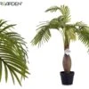 Planta Artificial PALMERA Marca IBERGARDEN 1 Planta Artificial PALMERA Marca IBERGARDEN -OUTSUNNY TIENDA 9373f5186d478f849343bd423f336cd6188f4079 111670