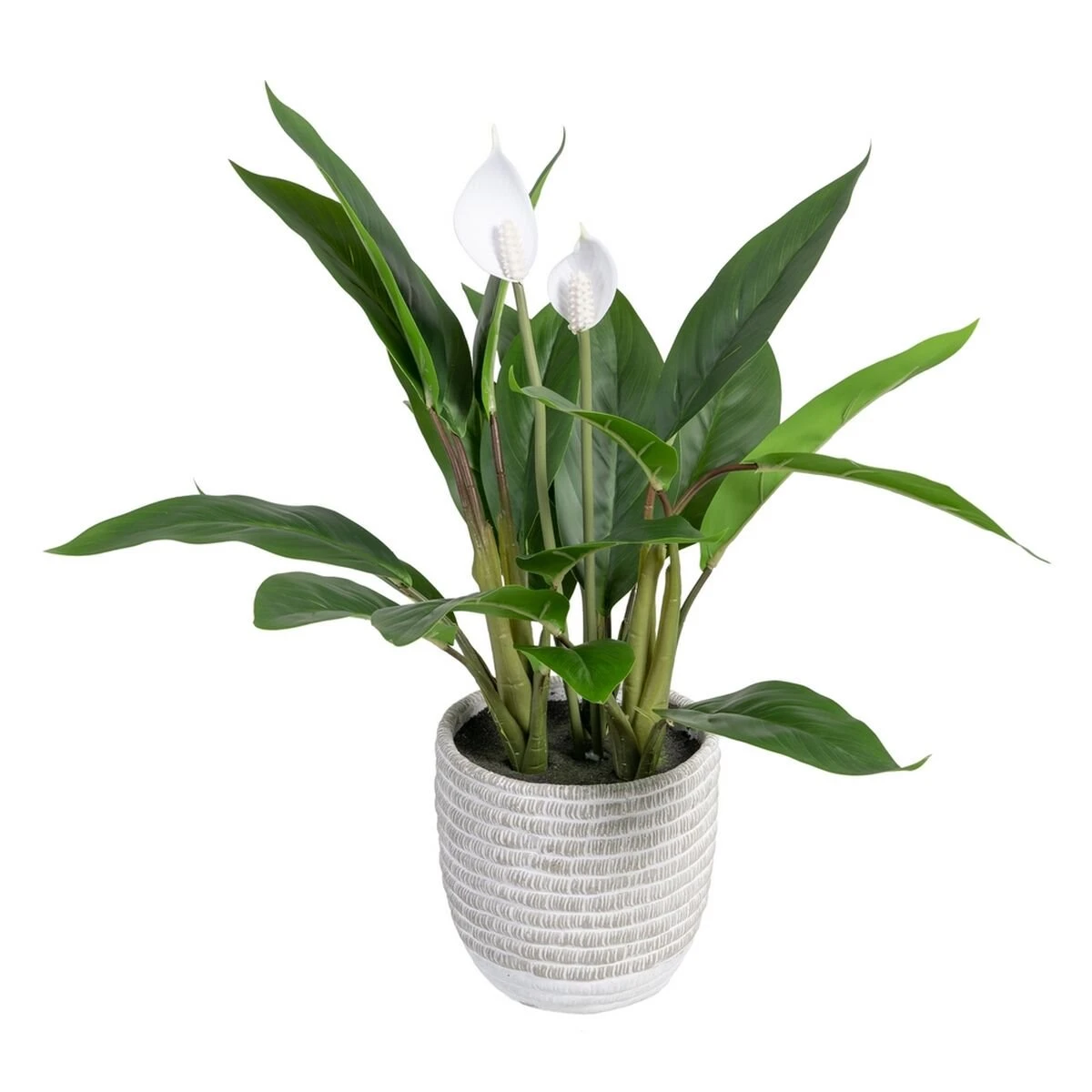 Planta Decorativa 40 X 41 X 48 Cm Verde PVC 3 Planta Decorativa 40 X 41 X 48 Cm Verde PVC