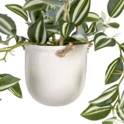 Planta Decorativa 24 X 35 X 25 Cm Blanco Verde PVC 9 Planta Decorativa 24 X 35 X 25 Cm Blanco Verde PVC -OUTSUNNY TIENDA 980ee1a8d90b89eaea349a9da290614f241d776e 955b0785be964463a543521ddfae5be3