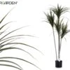 Planta Artificial YUCA Marca IBERGARDEN -OUTSUNNY TIENDA a36a81f48a0f0544d91ad586847fc0b07a2a337d 111671